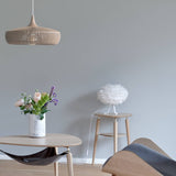 insitu
