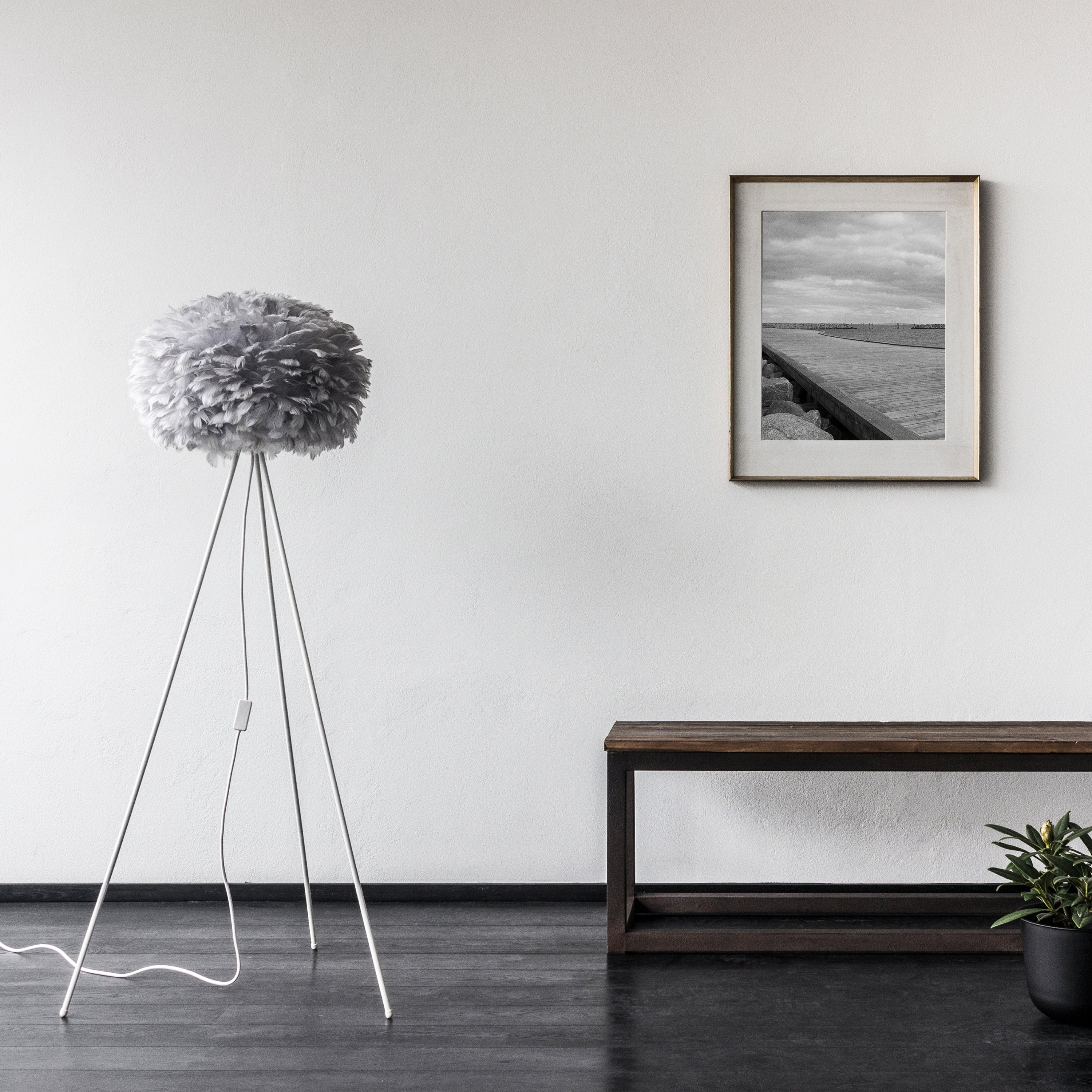 insitu