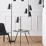 insitu
