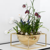 Kubus Bowl Centerpiece