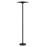 Ginger Bollard Light: Large - 33.9